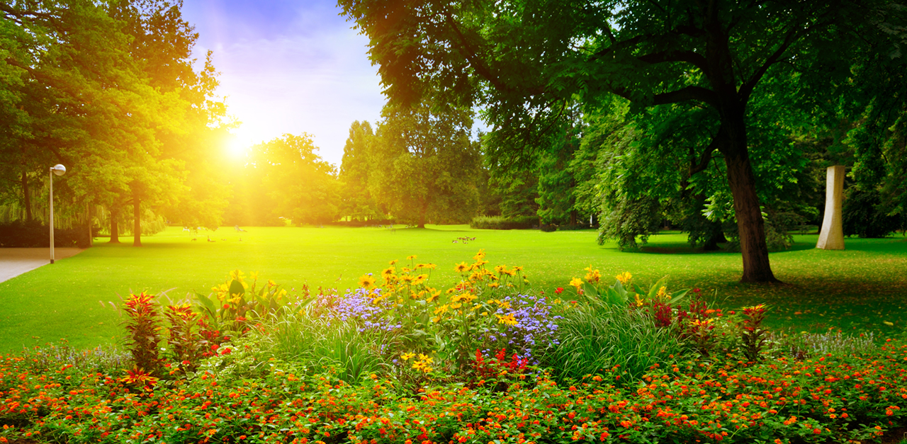 summer park with beautiful flower beds