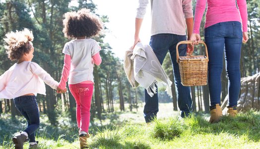 Family Having Picnic In Countryside